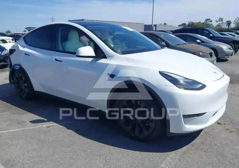 2025 Tesla Model Y photo