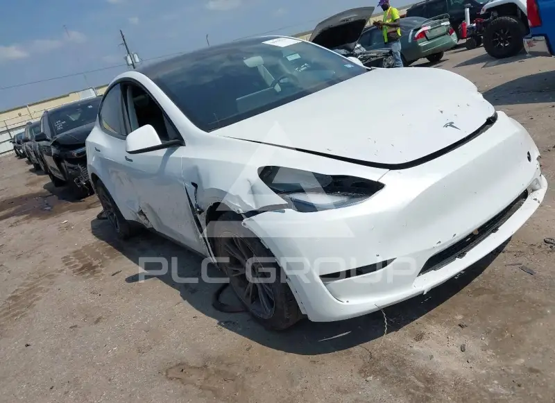 2025 Tesla Model Y photo