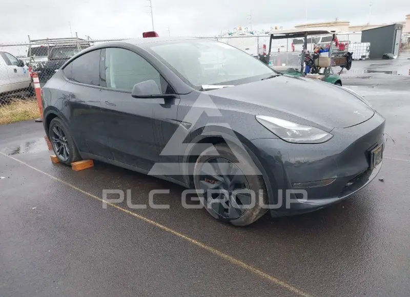 2025 Tesla Model Y фото