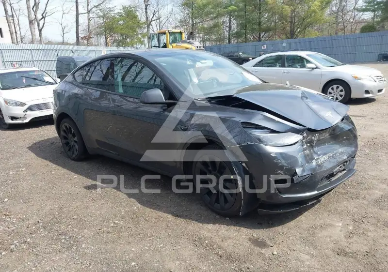 2025 Tesla Model Y фото