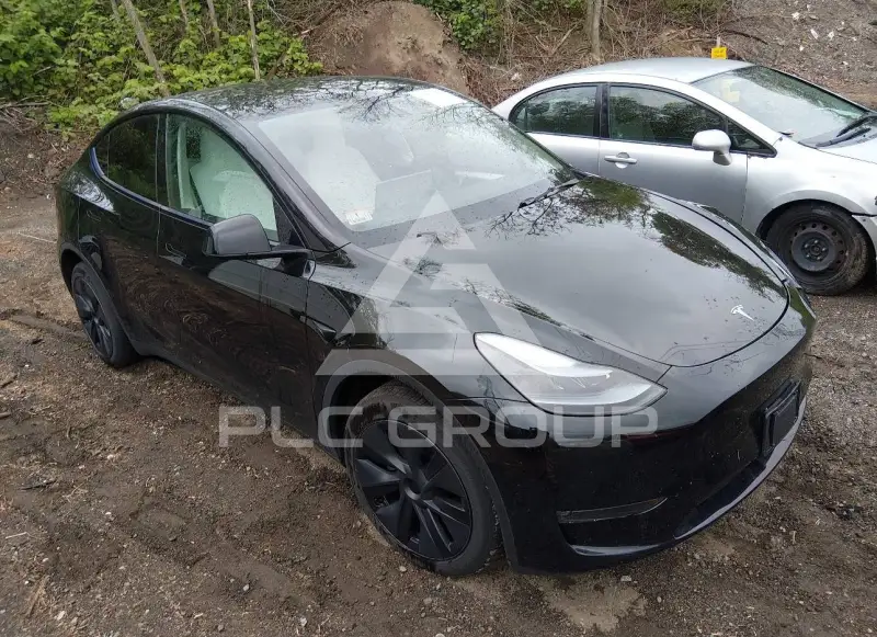 2025 Tesla Model Y photo