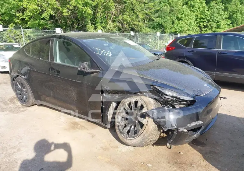 2025 Tesla Model Y фото