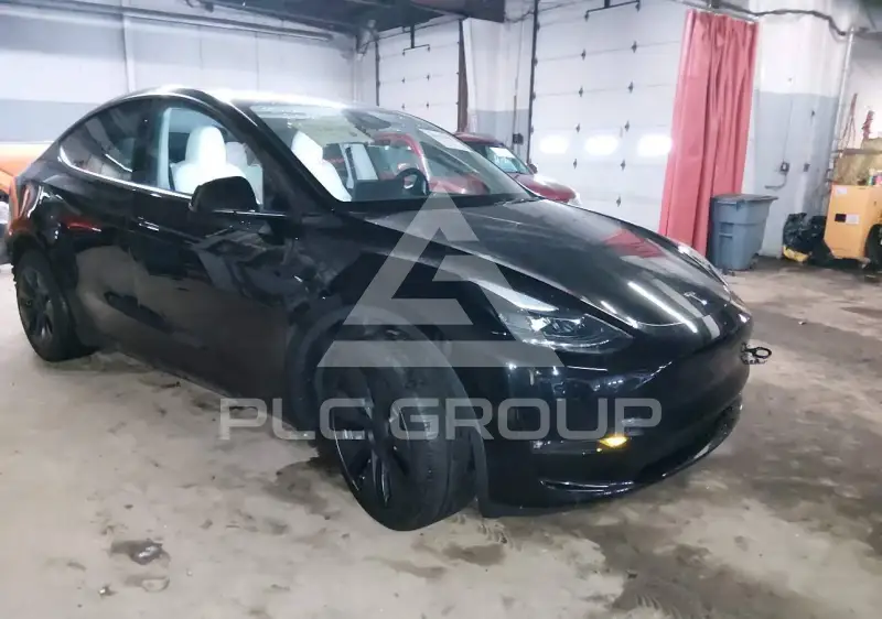 2025 Tesla Model Y photo