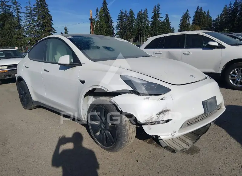 2025 Tesla Model Y фото