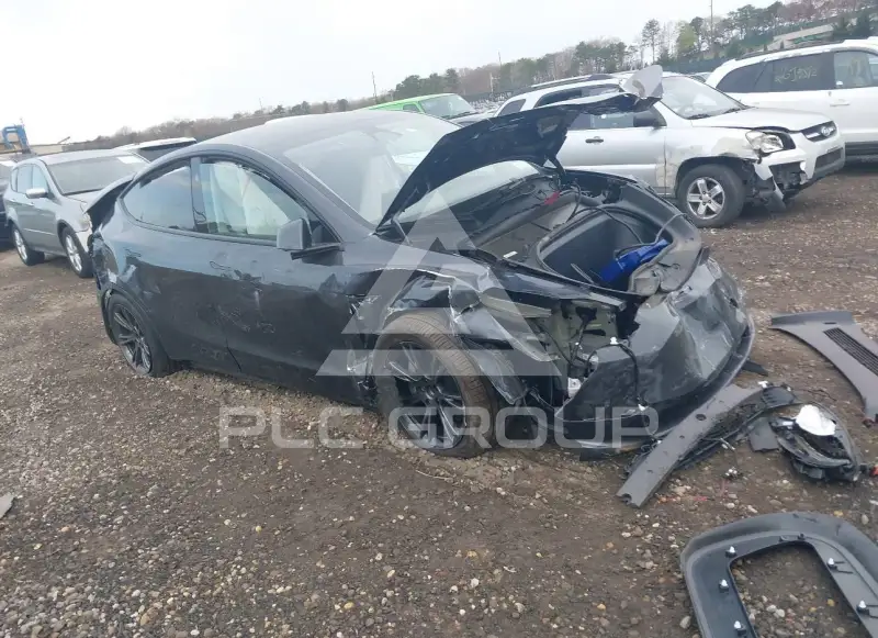 2025 Tesla Model Y фото