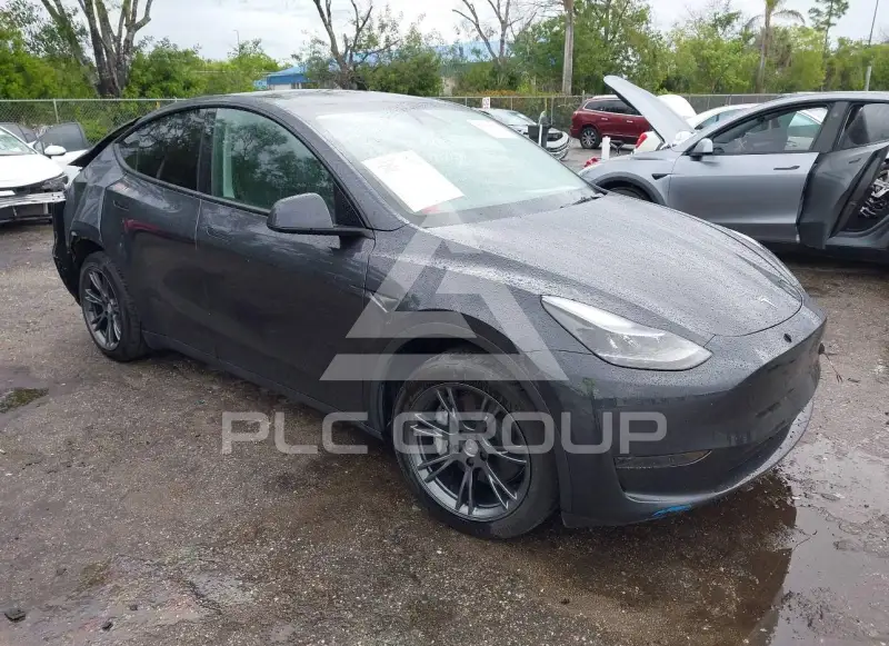 2025 Tesla Model Y фото