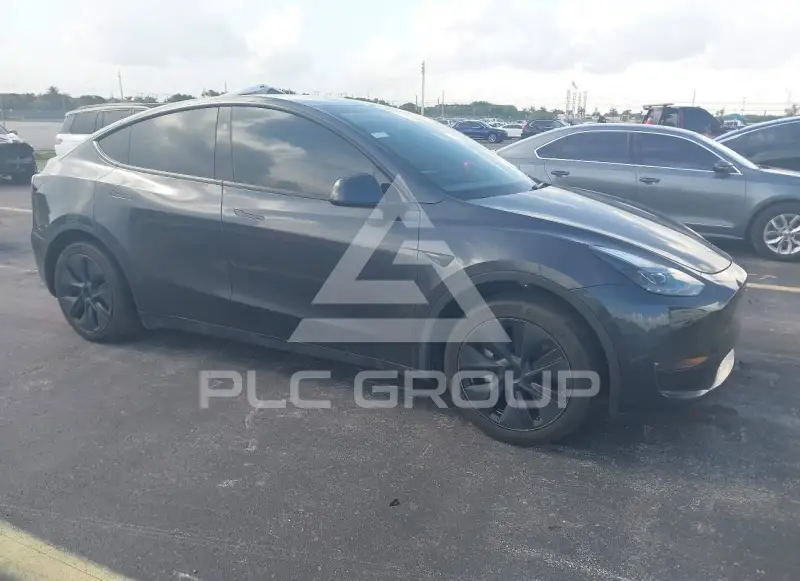 2025 Tesla Model Y photo