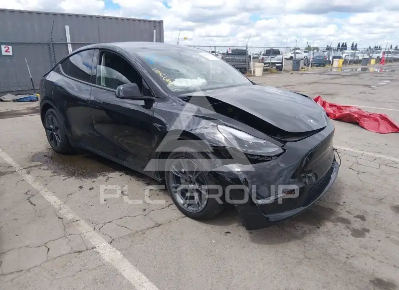 2025 Tesla Model Y фото