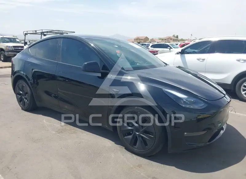 2025 Tesla Model Y photo