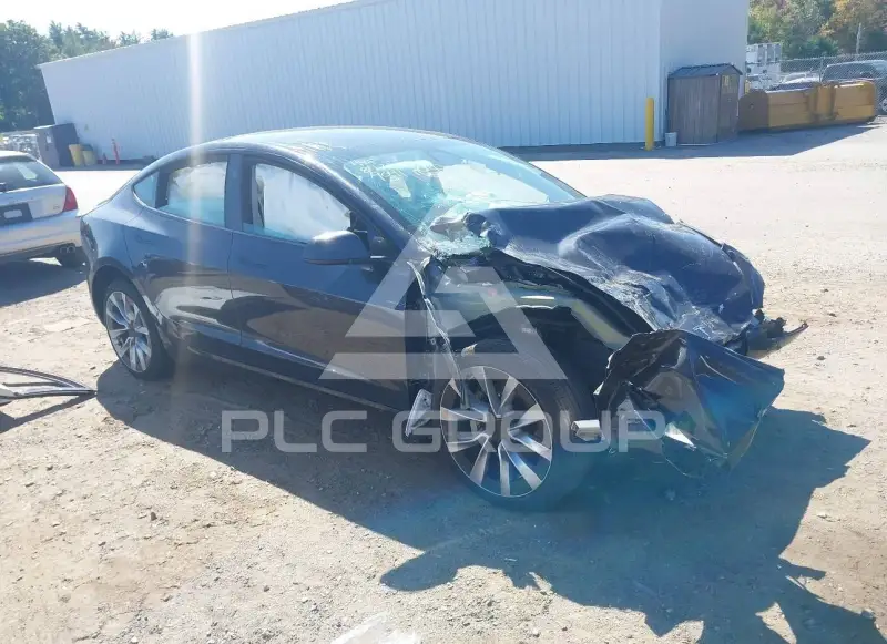 2025 Tesla Model 3 photo