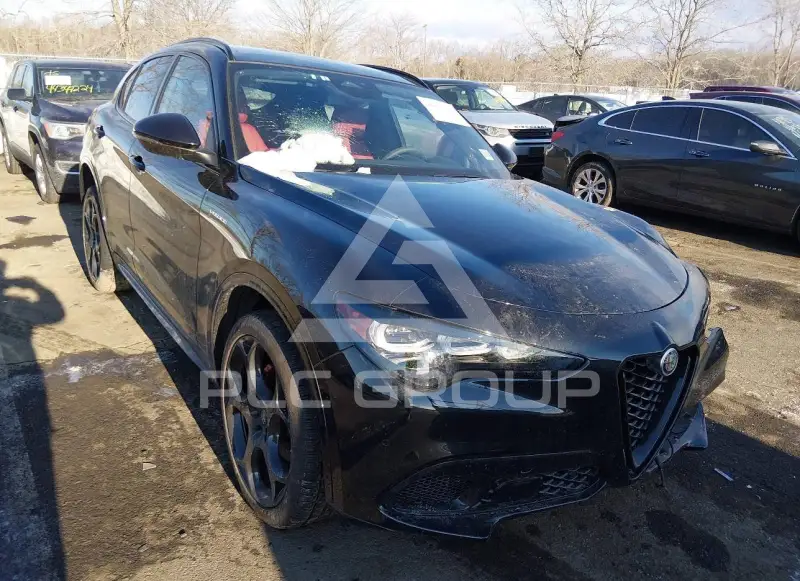 2025 Alfa Romeo Stelvio photo