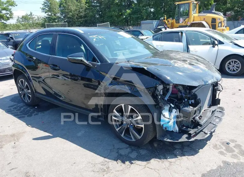 2025 Lexus UX photo