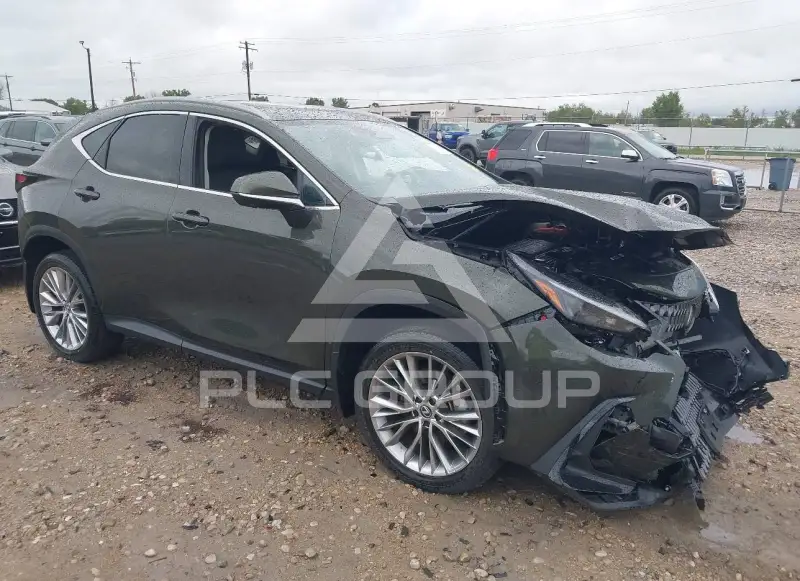 2025 Lexus NX photo
