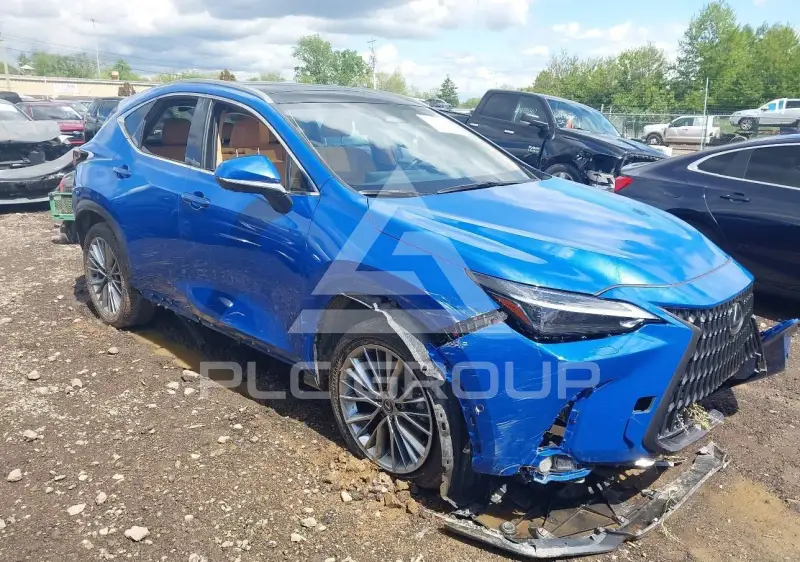 2025 Lexus NX250 photo
