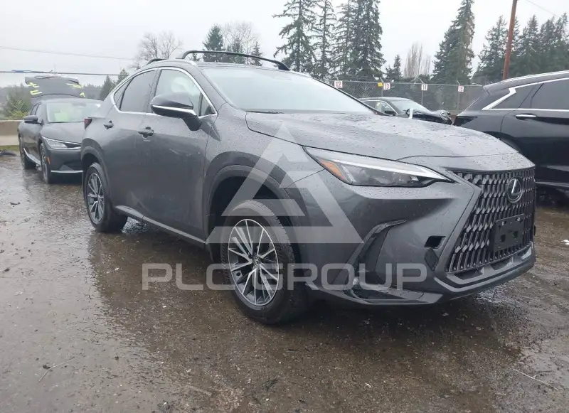 2025 Lexus NX250 фото
