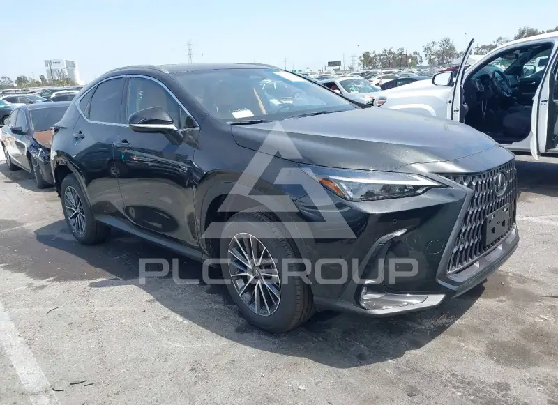 2025 Lexus NX250 фото