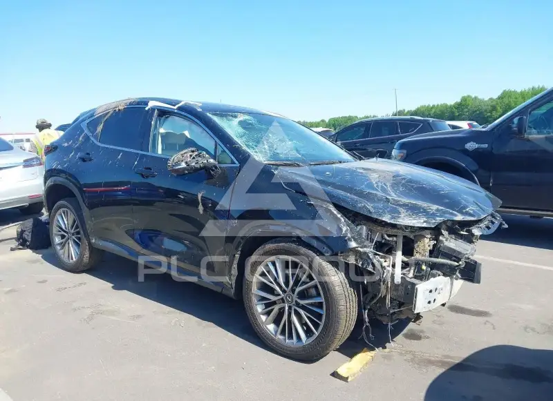 2025 Lexus NX250 фото