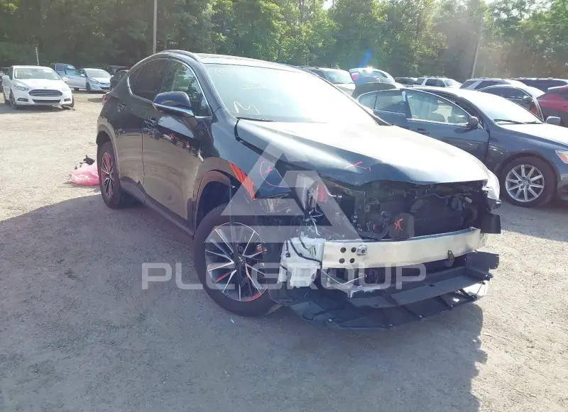 2025 Lexus NX250 photo