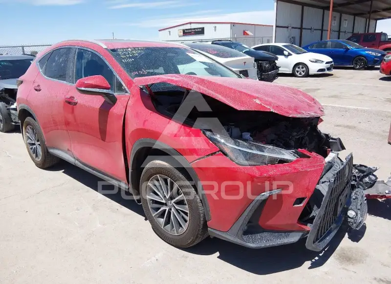2025 Lexus NX250 фото