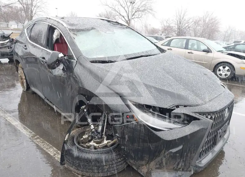 2025 Lexus NX250 photo
