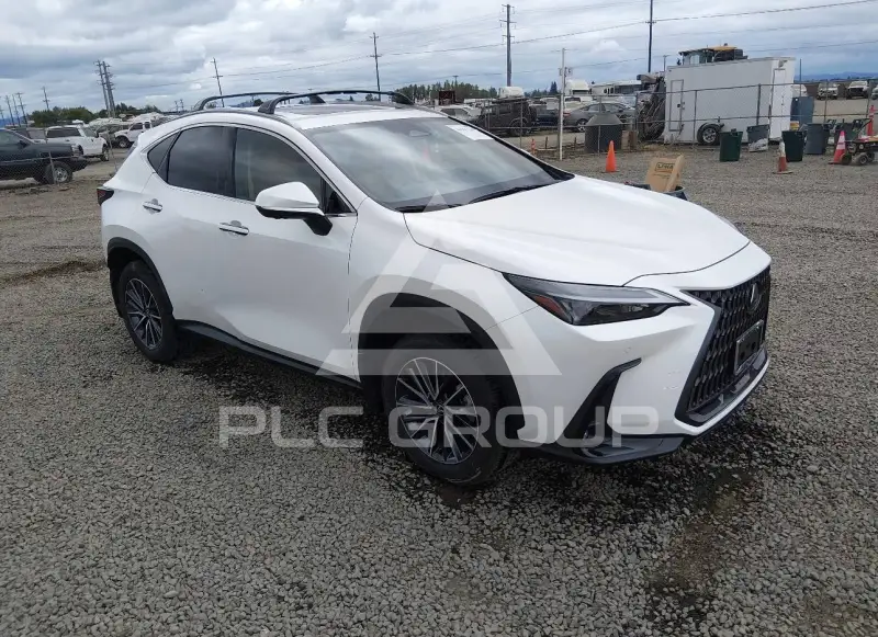 2025 Lexus NX250 photo