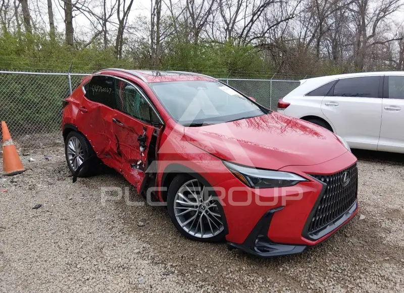 2025 Lexus NX250 фото