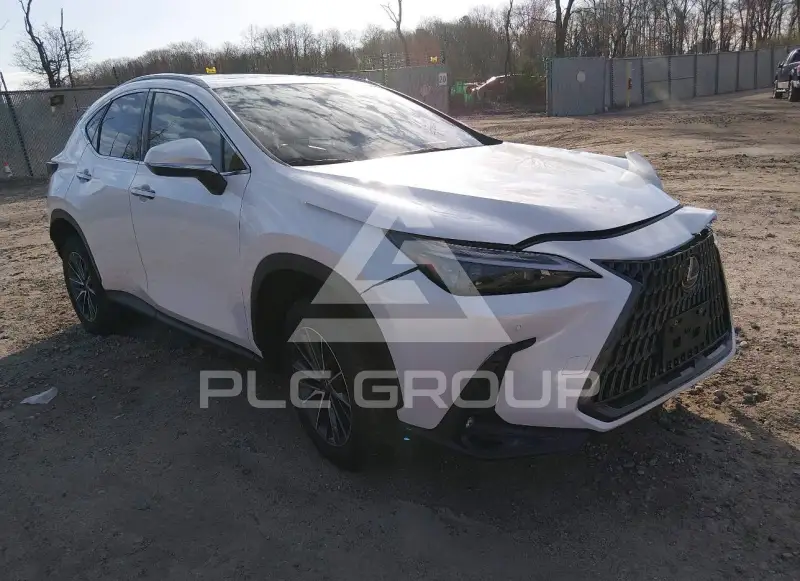 2025 Lexus NX250 фото