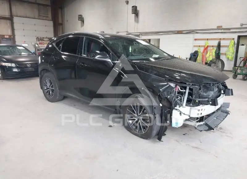 2025 Lexus NX250 фото