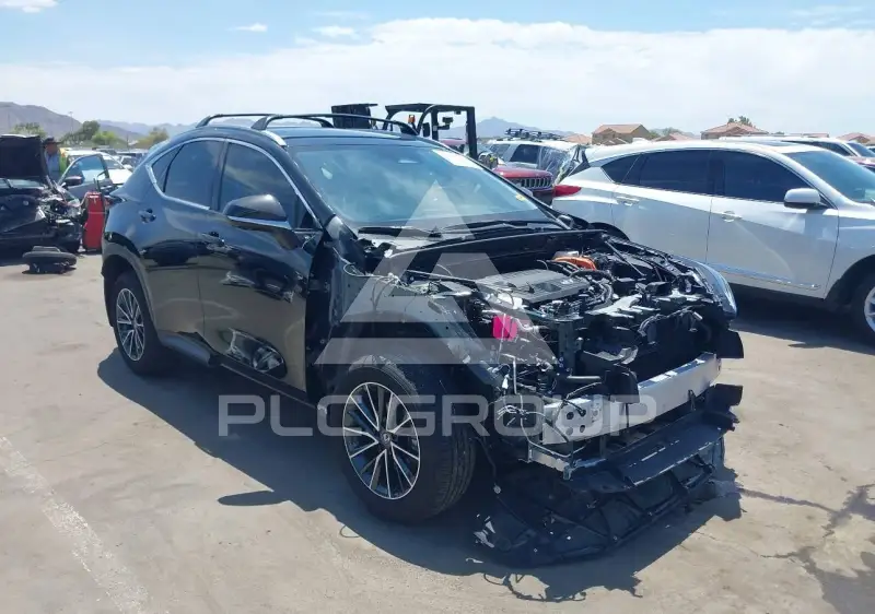 2025 Lexus NX250 фото