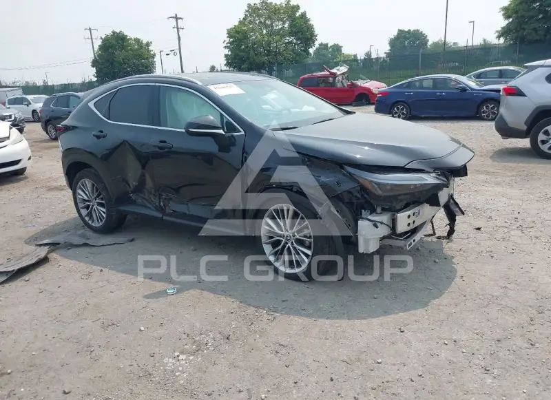 2025 Lexus NX250 фото