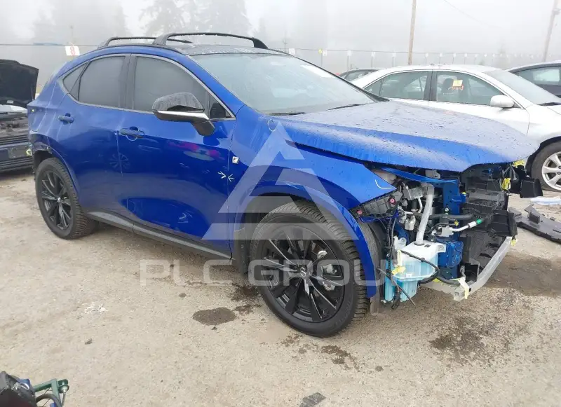 2025 Lexus NX450 photo