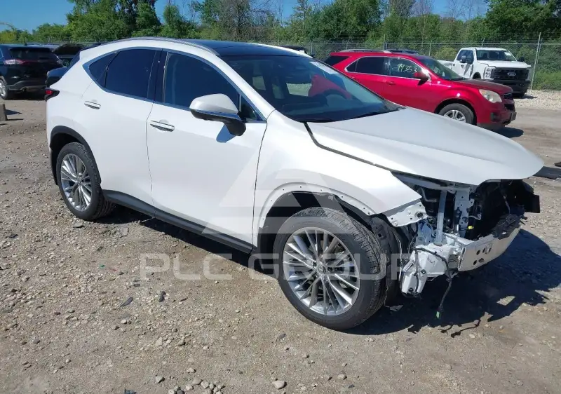 2025 Lexus NX250 фото