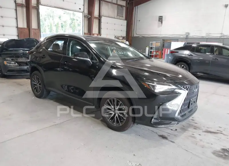 2025 Lexus NX250 фото