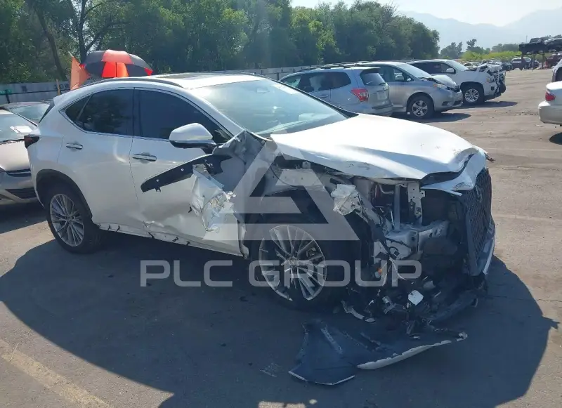 2025 Lexus NX250 фото
