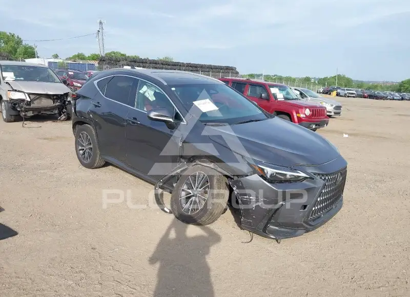 2025 Lexus NX250 фото