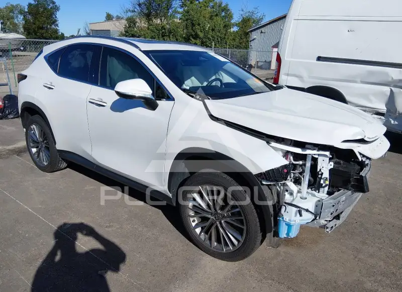 2025 Lexus NX250 photo