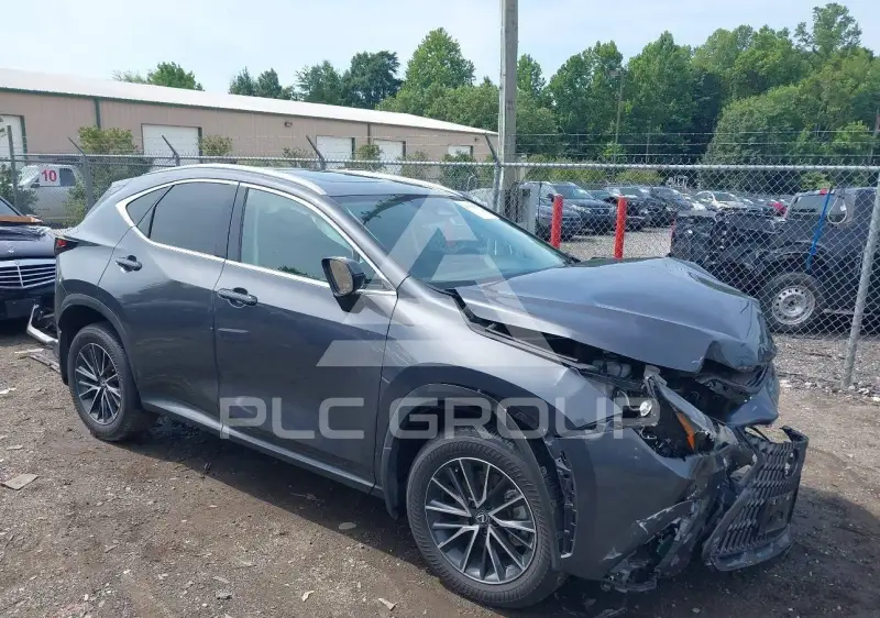 2025 Lexus NX250 photo