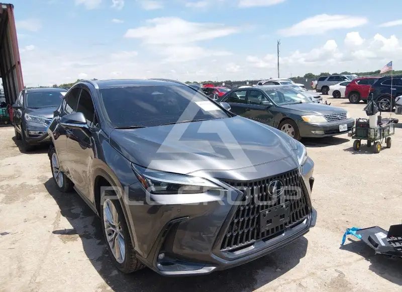 2025 Lexus NX250 photo