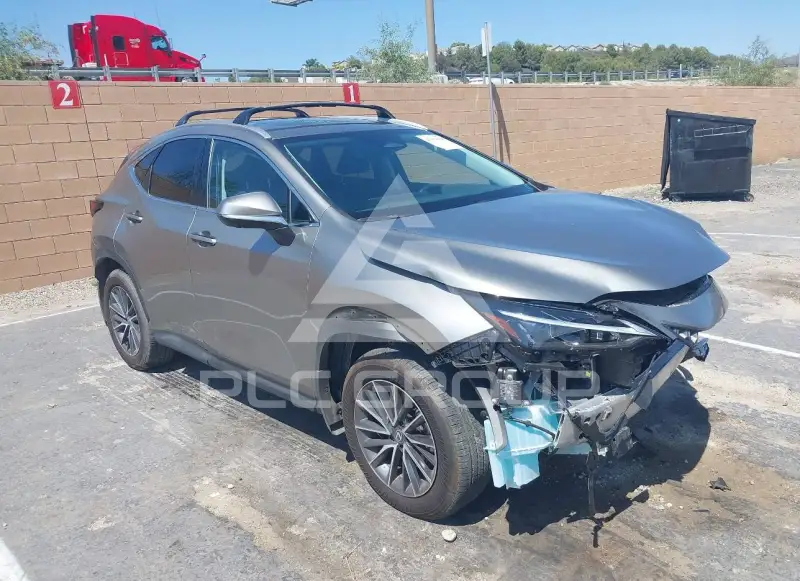 2025 Lexus NX250 фото