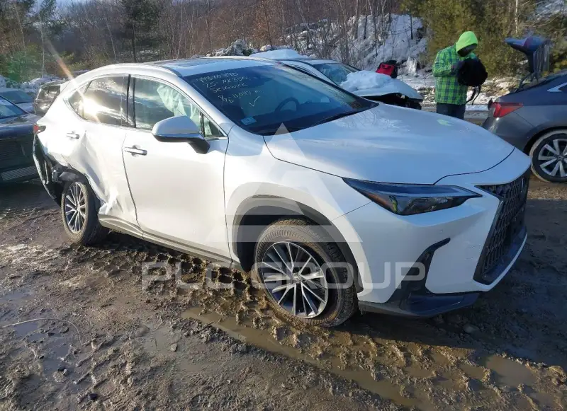 2025 Lexus NX250 фото