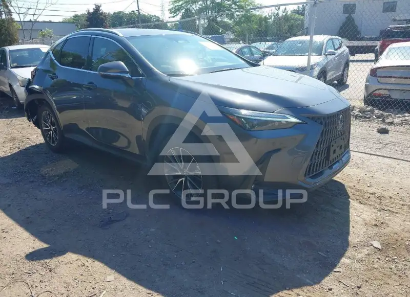2025 Lexus NX250 photo