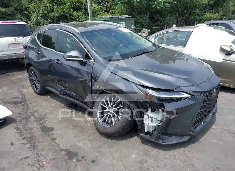 2025 Lexus NX250 фото