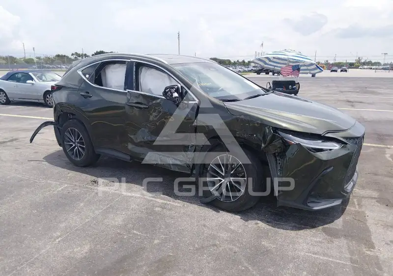 2025 Lexus NX250 photo