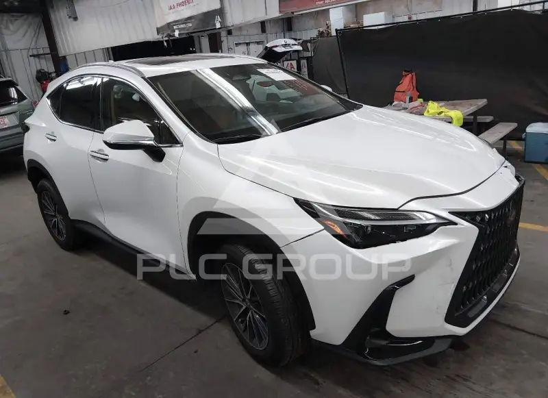 2025 Lexus NX250 photo