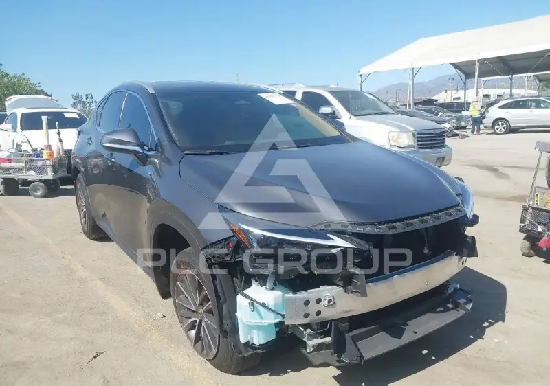2025 Lexus NX250 фото