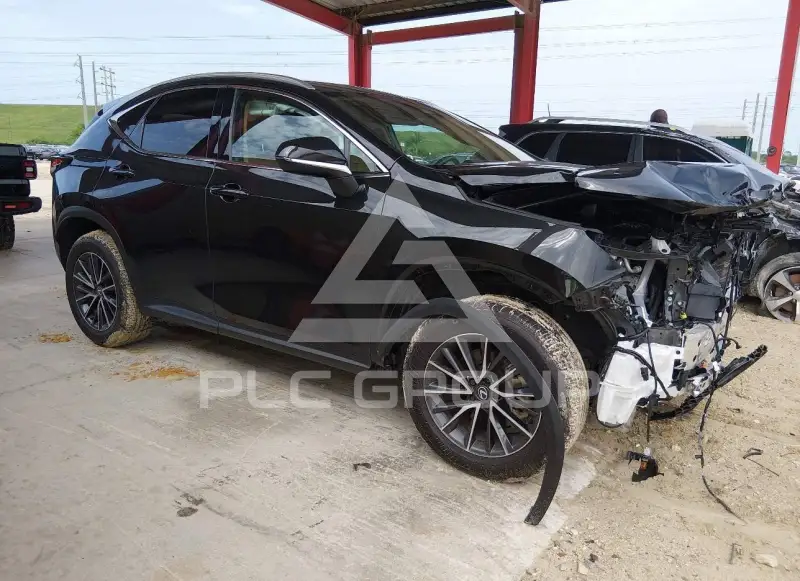 2025 Lexus NX250 фото