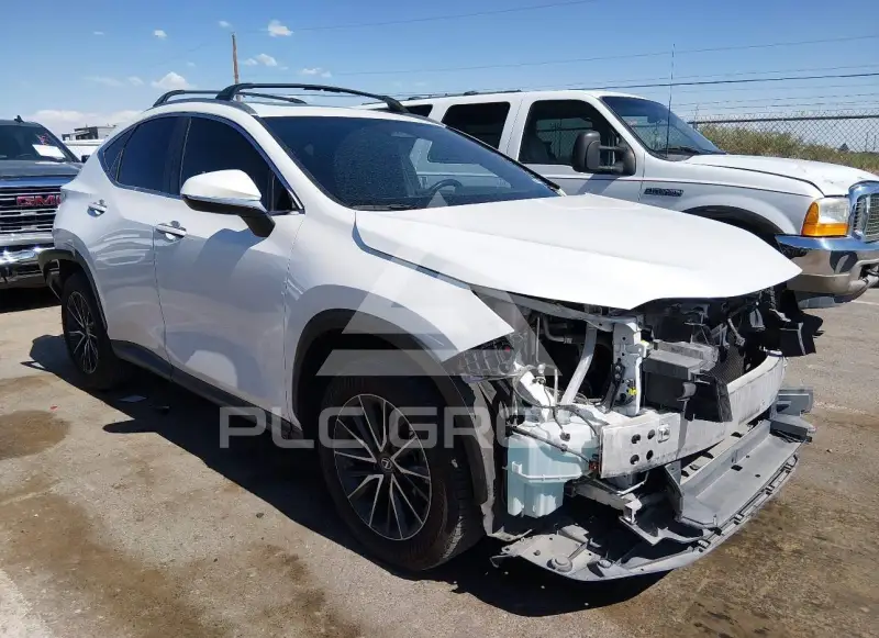 2025 Lexus NX250 photo