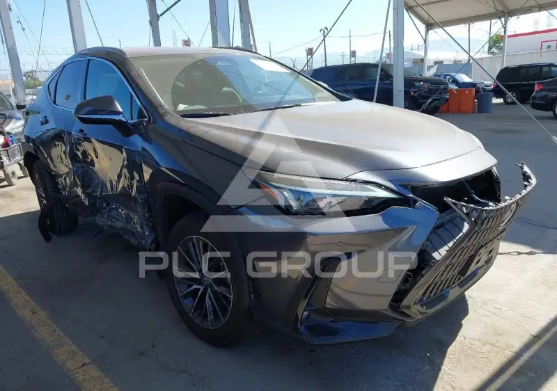 2025 Lexus NX250 photo