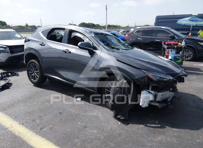 2025 Lexus NX250 фото