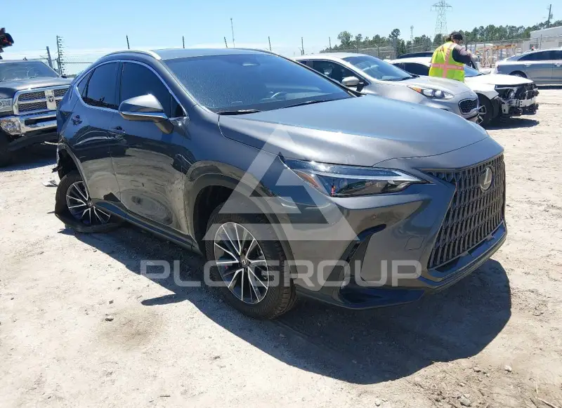 2025 Lexus NX250 фото